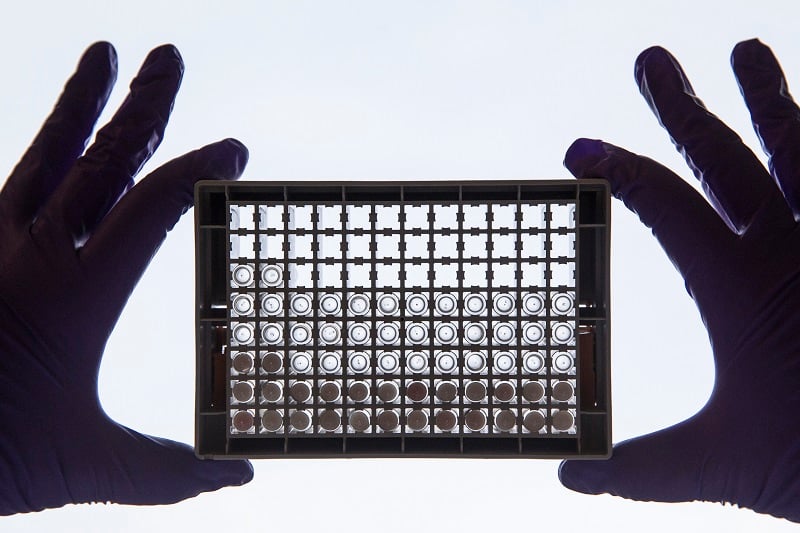 A scientist examining cancer cells