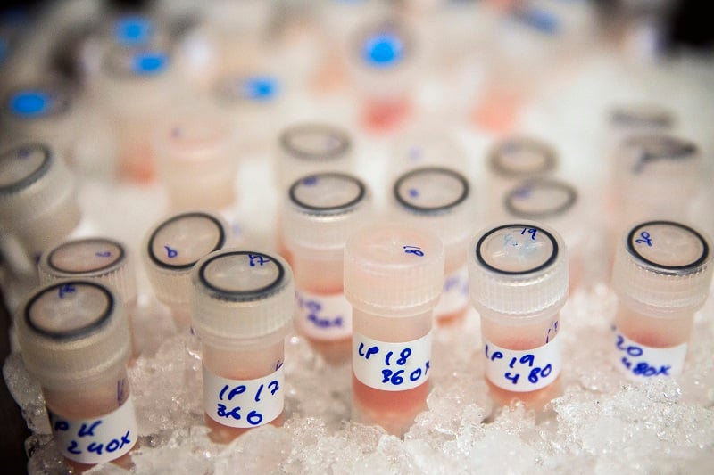Vials containing biological samples are stored on ice Vials containing biological samples are stored on ice