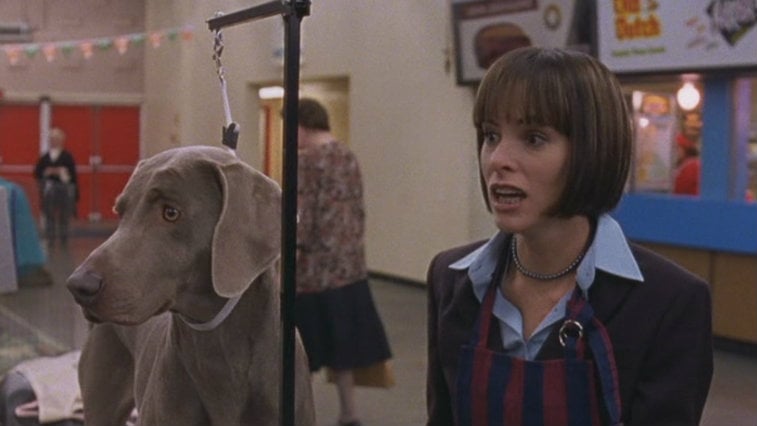 Parker Posey in Best in Show wearing an apron in a gymnasium looking surprised next to a Weimaraner dog