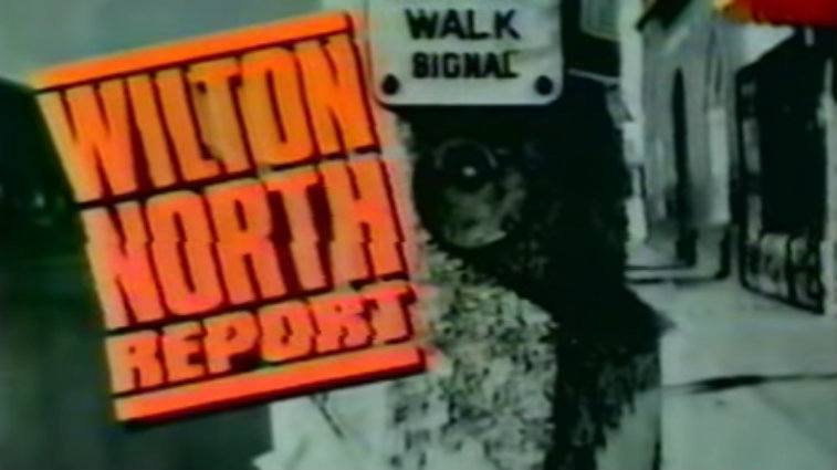 Wilton North Report