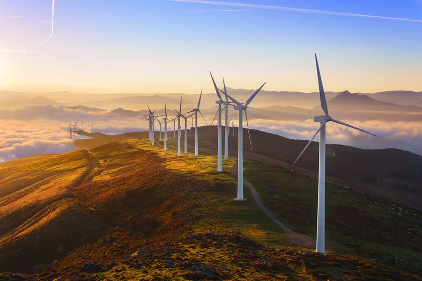 wind turbines in a park