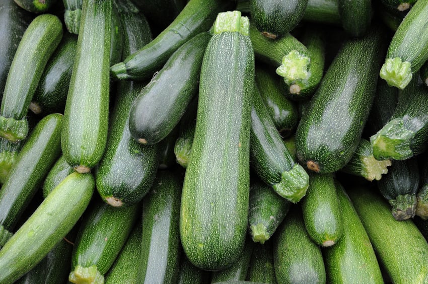 pile of zucchinis