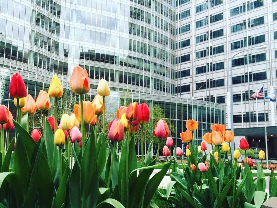 Home of the revered Mayo Clinic, Rochester has a bustling city life to accompany its many parks and paved trails. Visit Rochester, Minnesota/Facebook