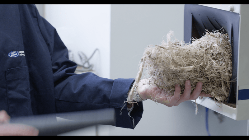 Agave fibers may replace plastics for a sustainable material for Ford vehicles