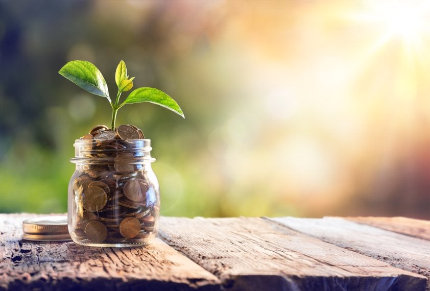 jar of coins with plant growing out of it
