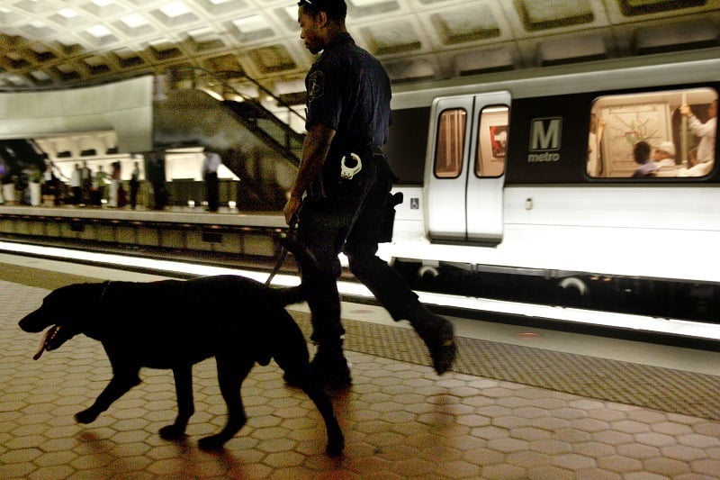 Metro Transit Police Special Response Team member patrols the Metro Center station with Sabre, an explosives detection dog 