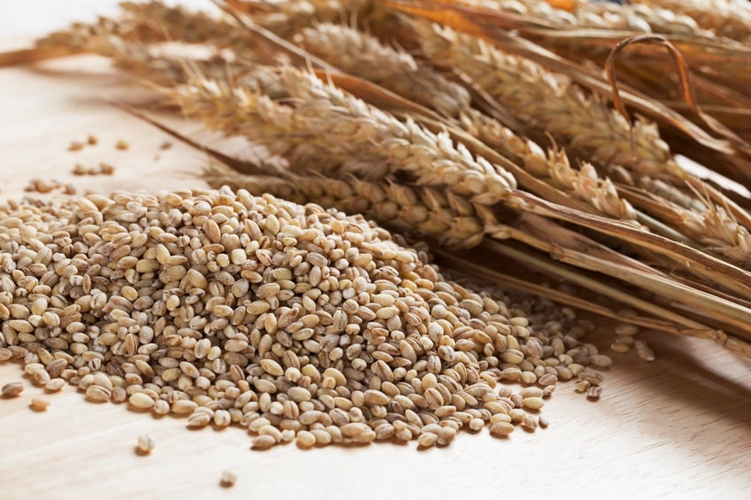 Pearled Barley and wheat sticks on a white background