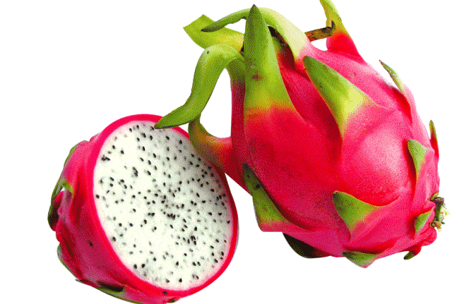 Dragon fruit