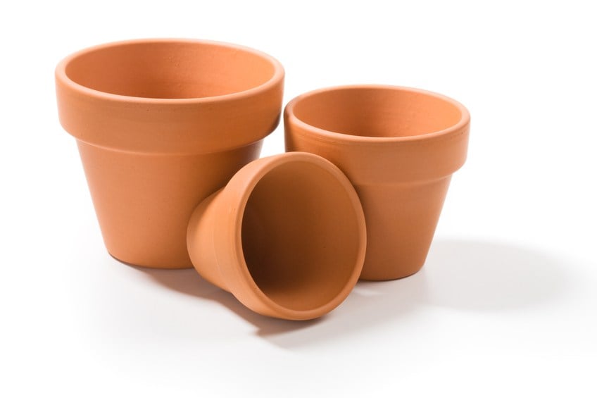 terracotta pots