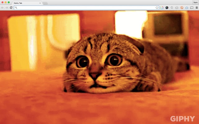 Giphy Tabs - Chrome extensions