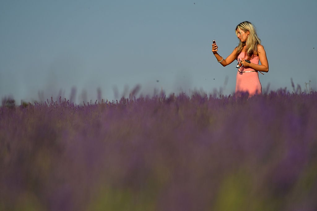 Woman takes a selfie photograph in a field of lavender