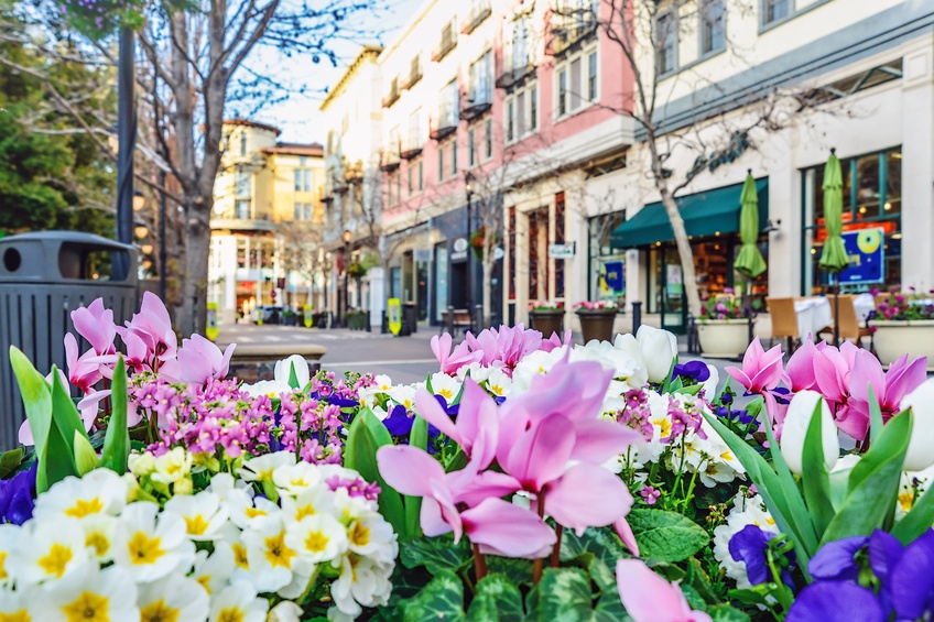 flowers on street in downtown san jose