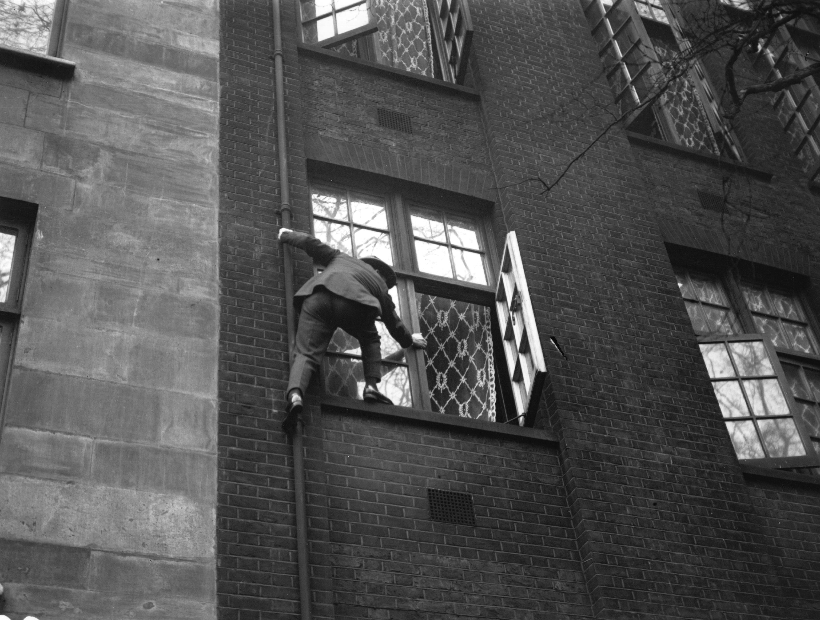 cat burglar