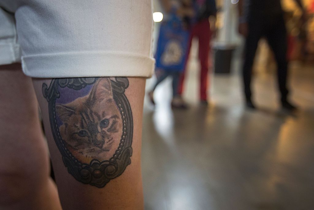 cat tattoo