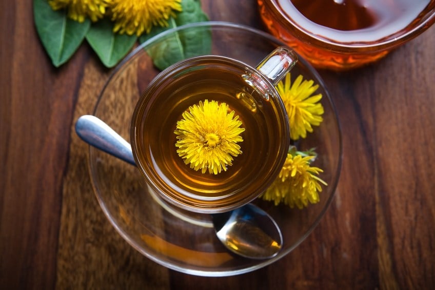 dandelion tisane tea