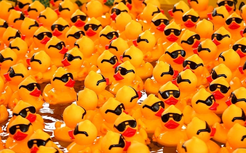 rubber ducks