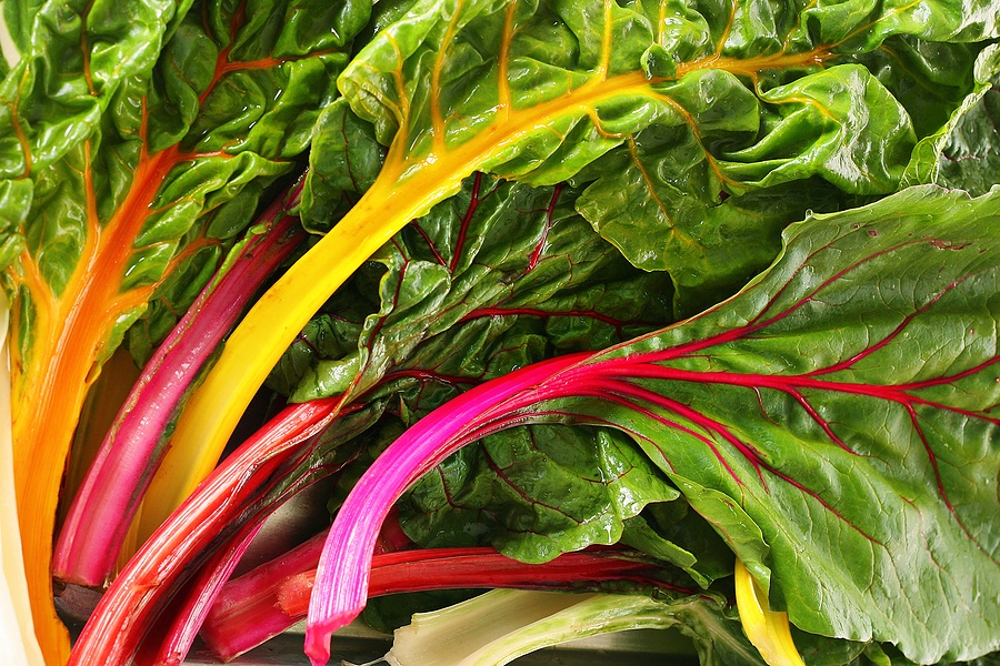 A handful of chard