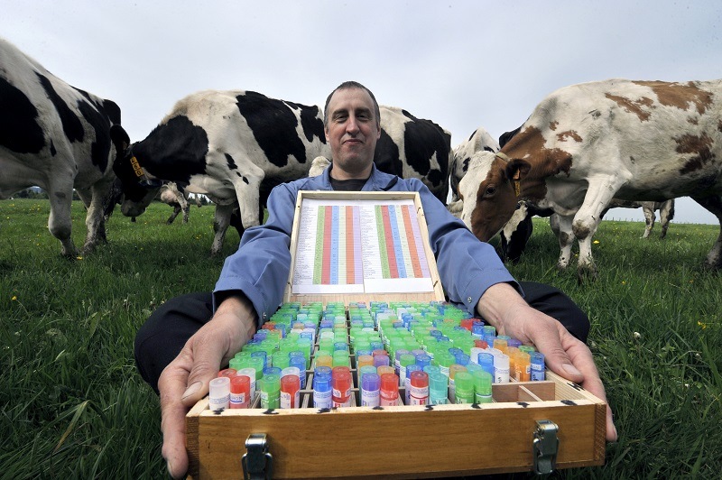 French milk producer Bruno Gourdon, next to his cows, presents a box of homeopathic remedies which are backed up with little more than junk science
