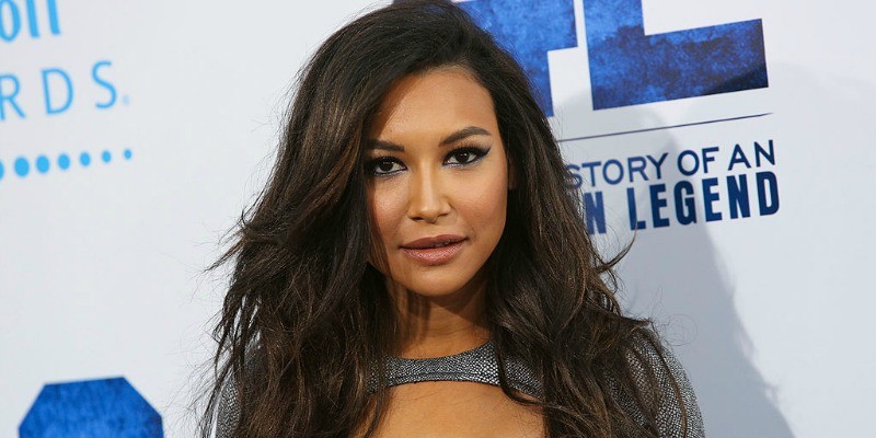 Naya Rivera is posing on the red carpet.