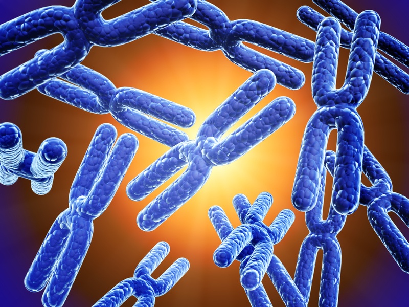 X chromosome on abstract