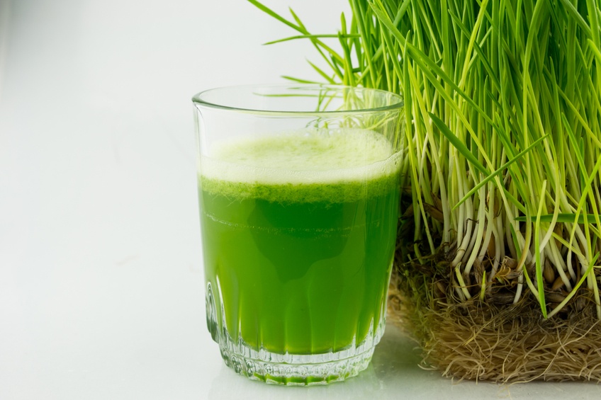 Green Organic Wheat Grass Juice