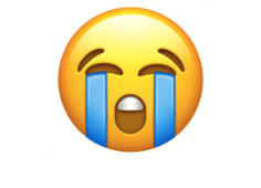 Loudly crying face emoji