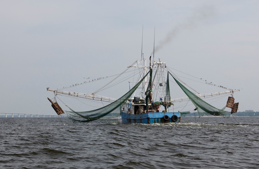 Shrimping boat headed back to port