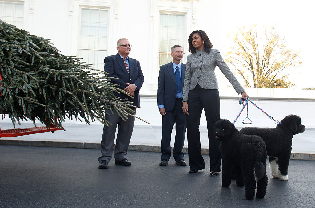 US First Lady Michelle Obama (R) welcomes the Official White House Christmas Tree