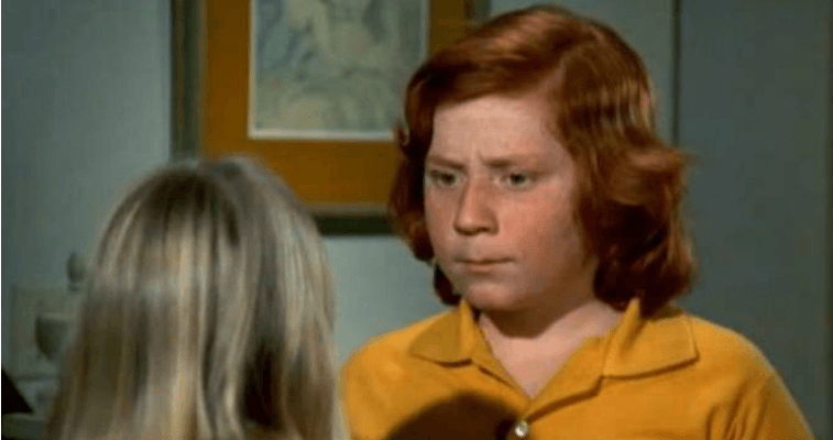 The Partridge Family