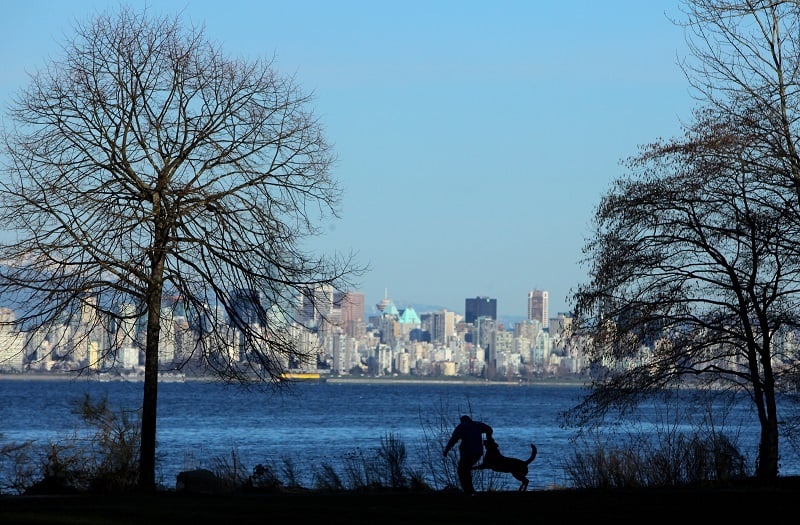 A dog and his owner frolic at Locarno Beach Park with the Vancouver city skyline as a back drop