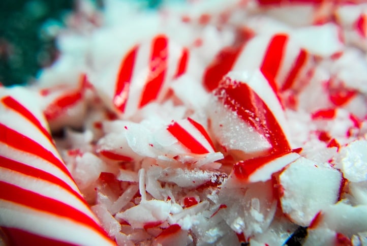 9 Creative Peppermint Recipes for the Holiday Season