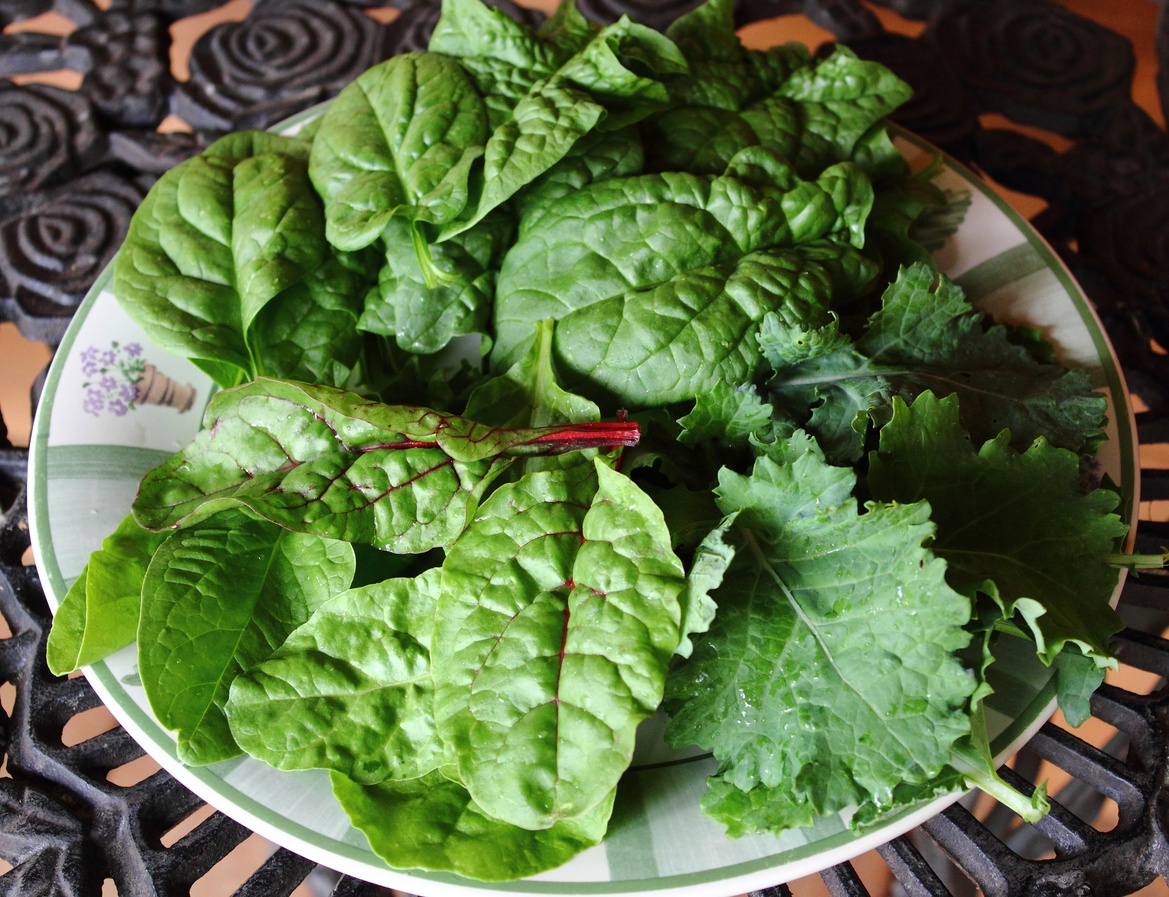 Salad greens