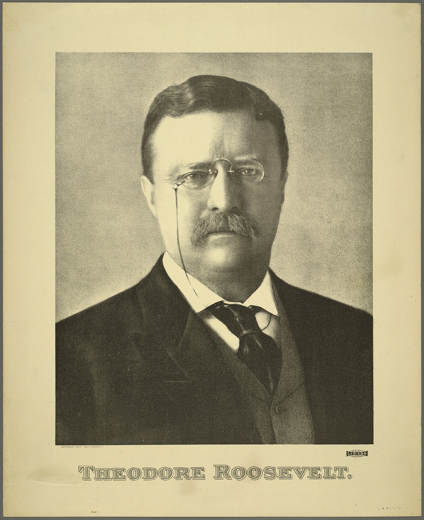 Portrait of Theodore Roosevelt