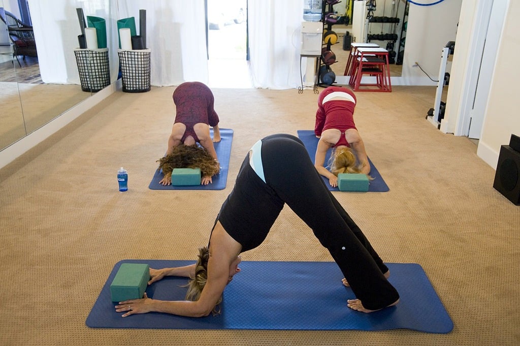 transition from downward-facing dog to another move