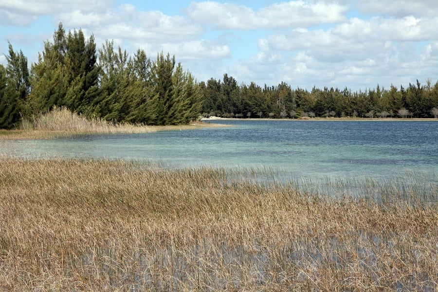 Amelia Park, Hialeah, Florida