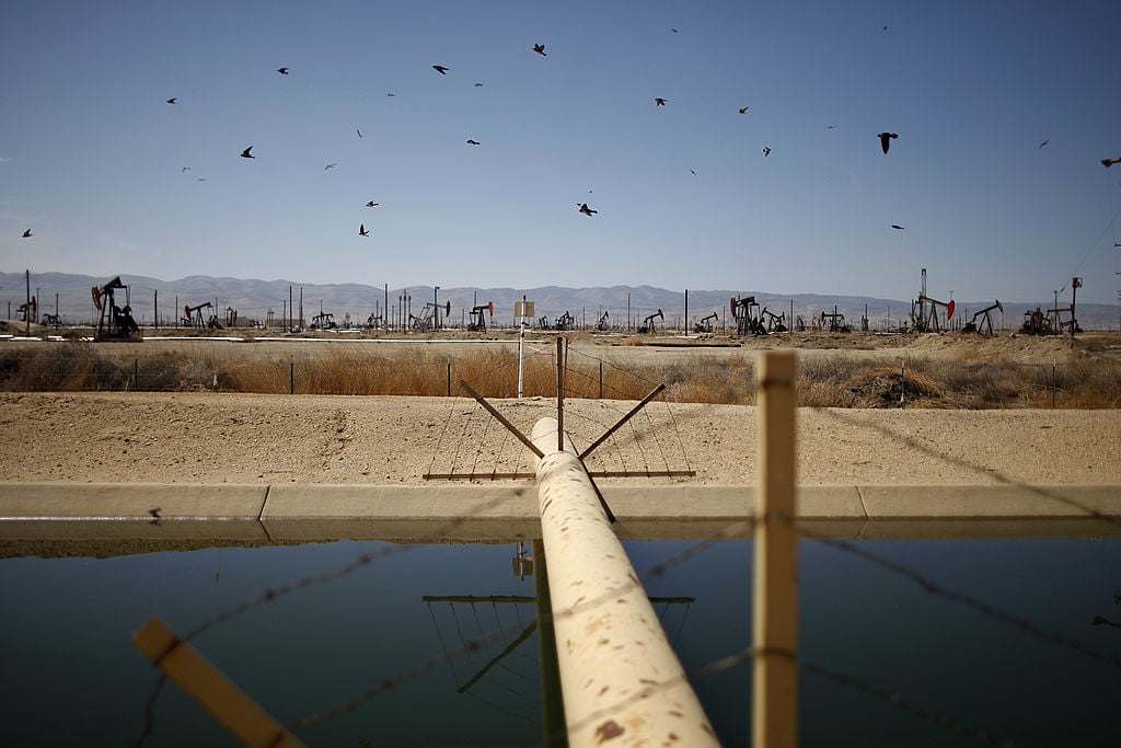 Swallows fly past a high pressure gas line