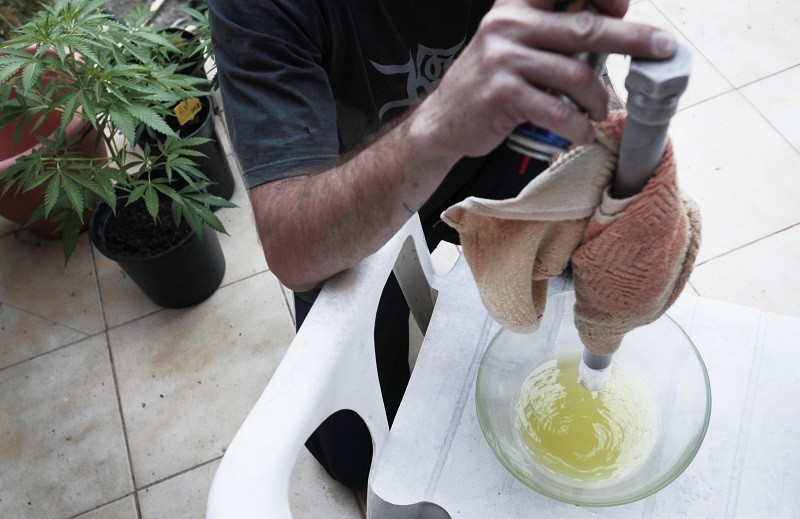 A man processes cannabis to create CBD oil and THC concentrates