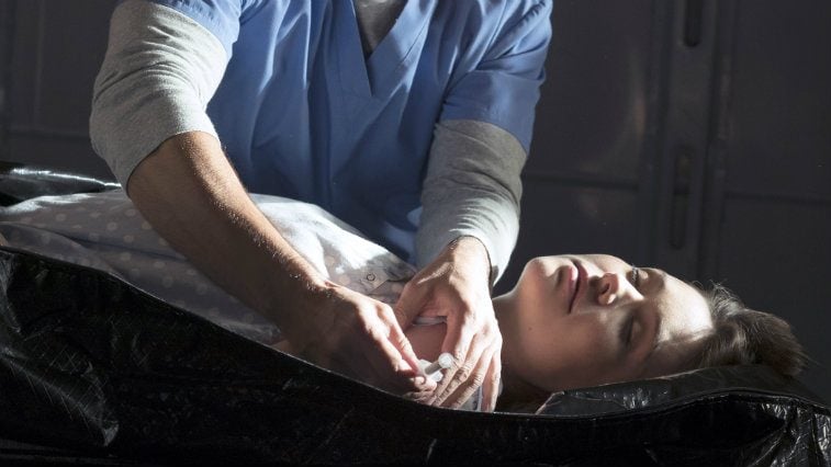 Megan Boone in The Blacklist