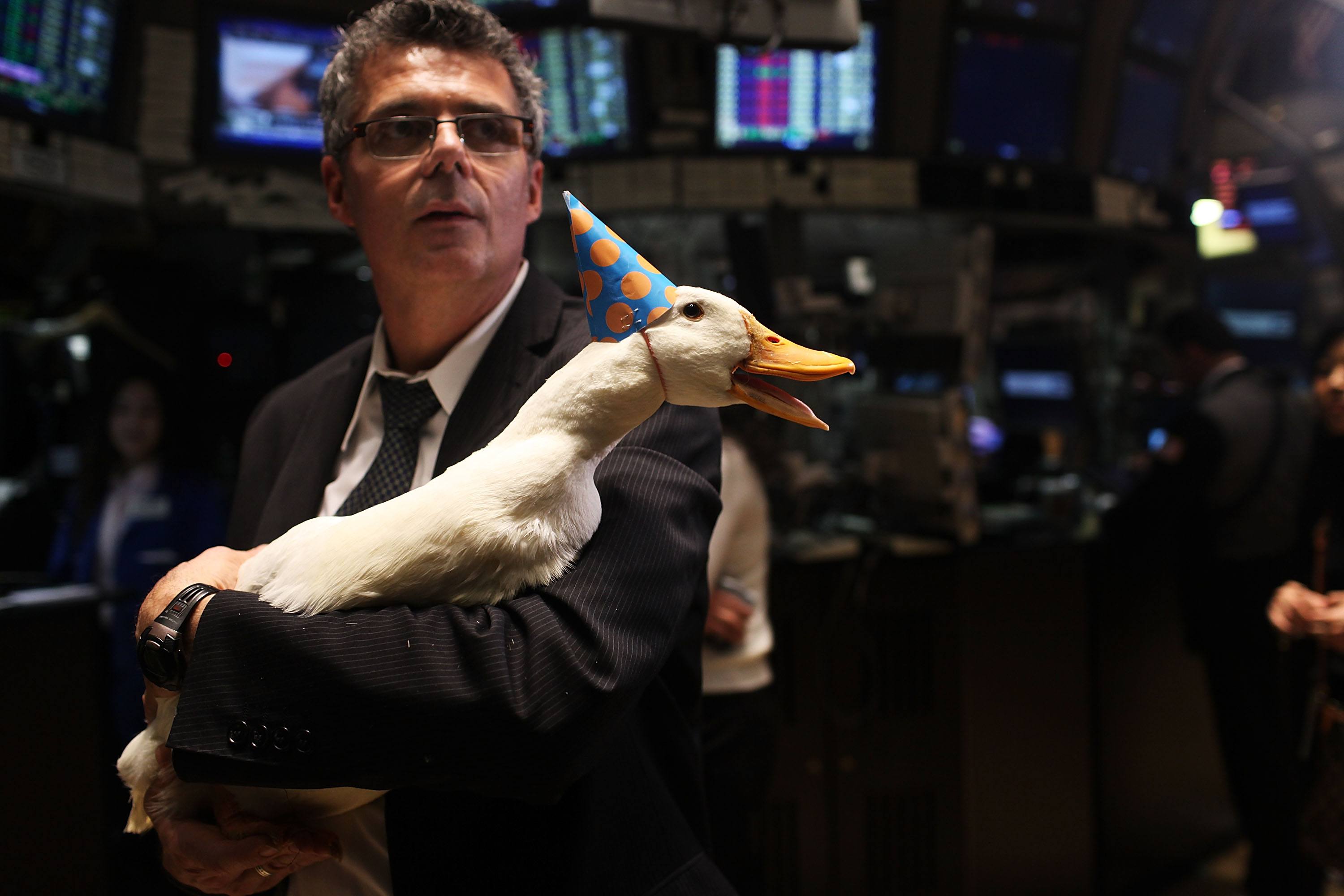 Man and duck celebrate good times