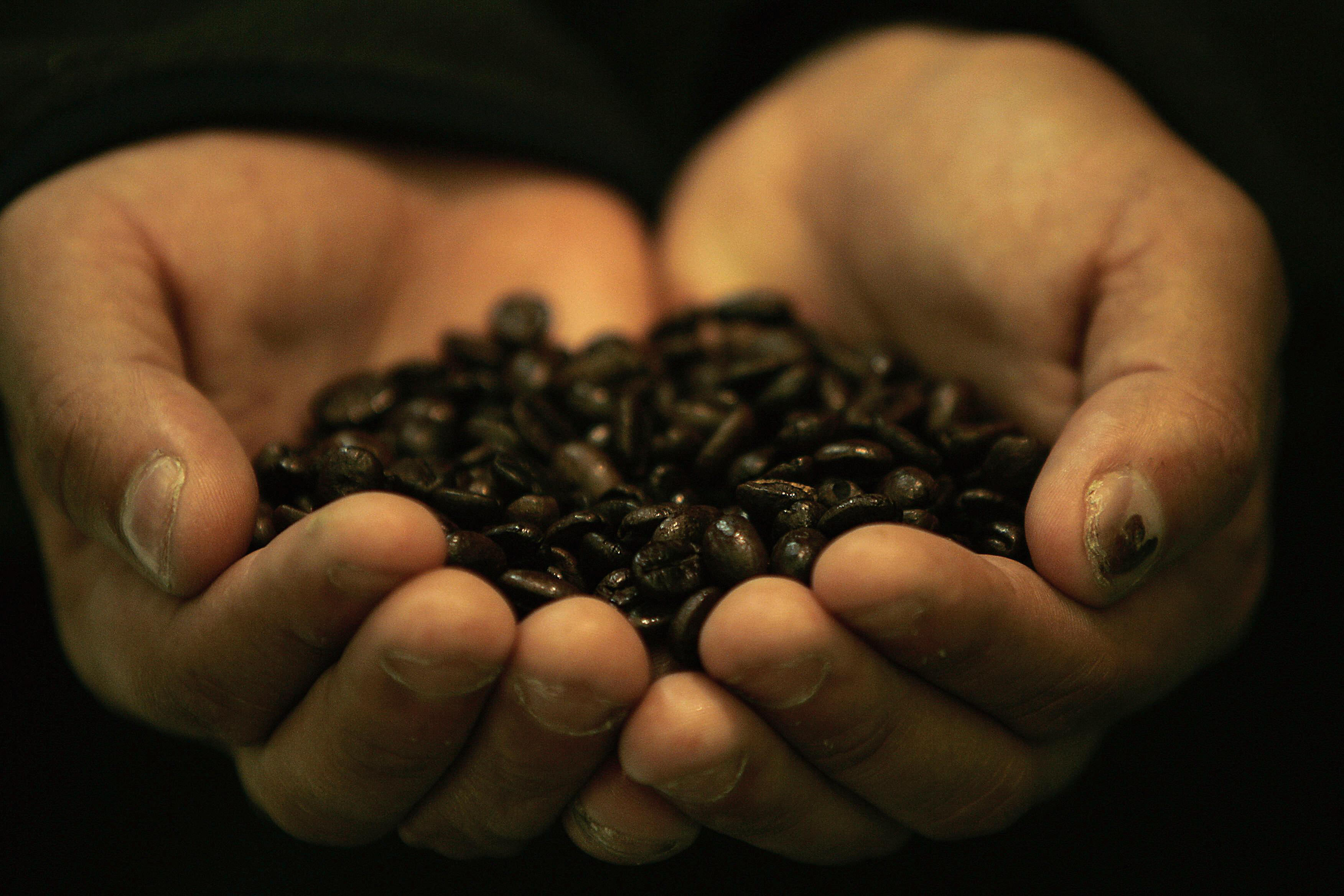 coffee beans