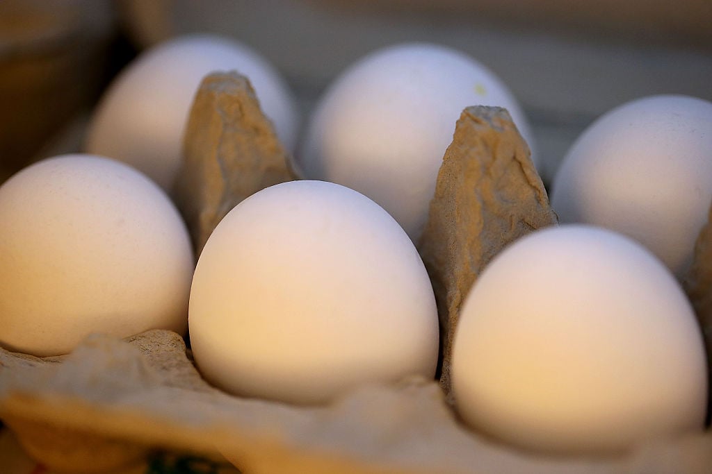 eggs