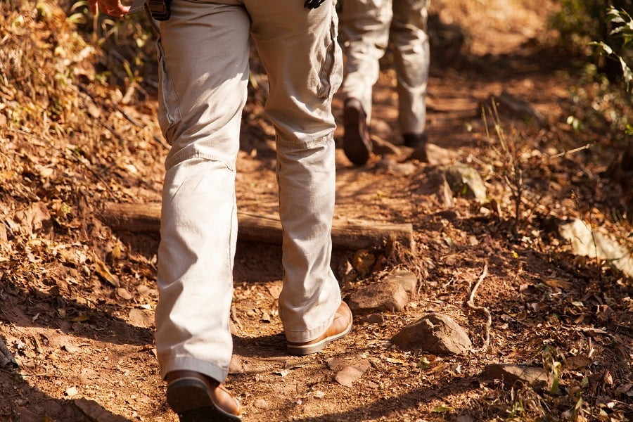 hikers walking in forest