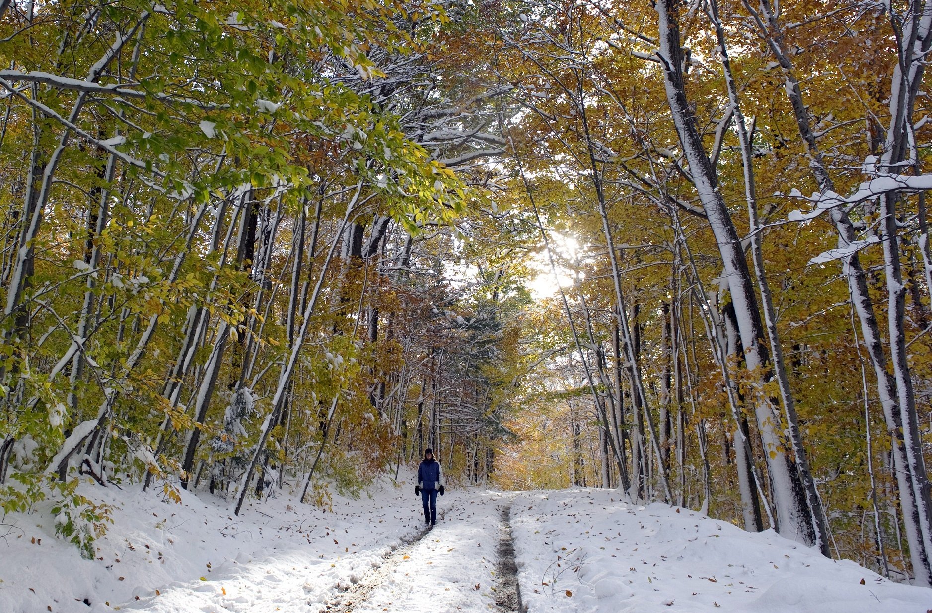 Woman walking down a snowy forest road