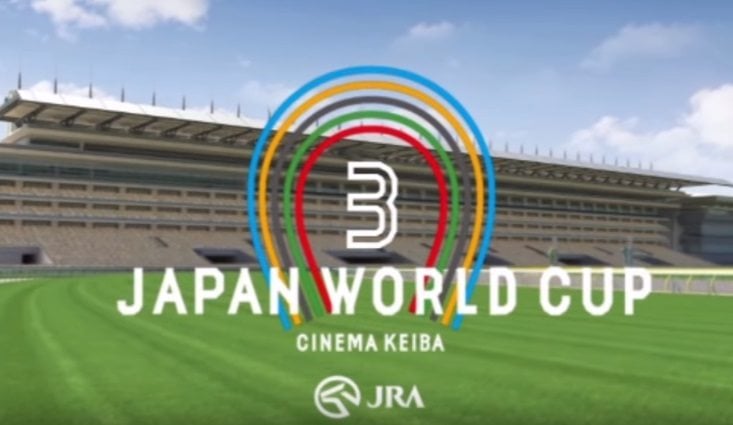 Japan World Cup 3