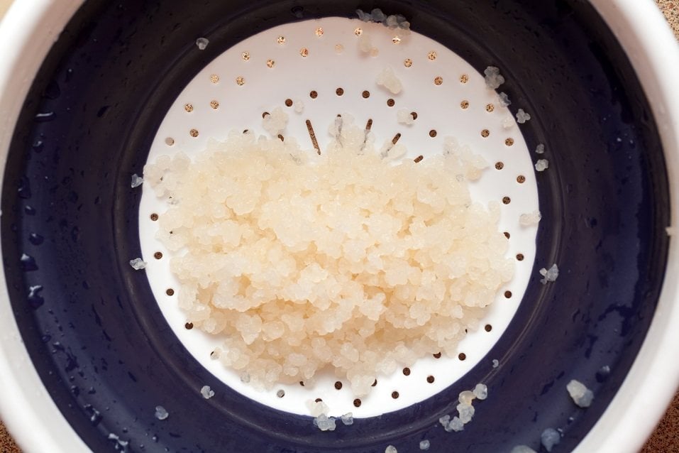 Water kefir grains