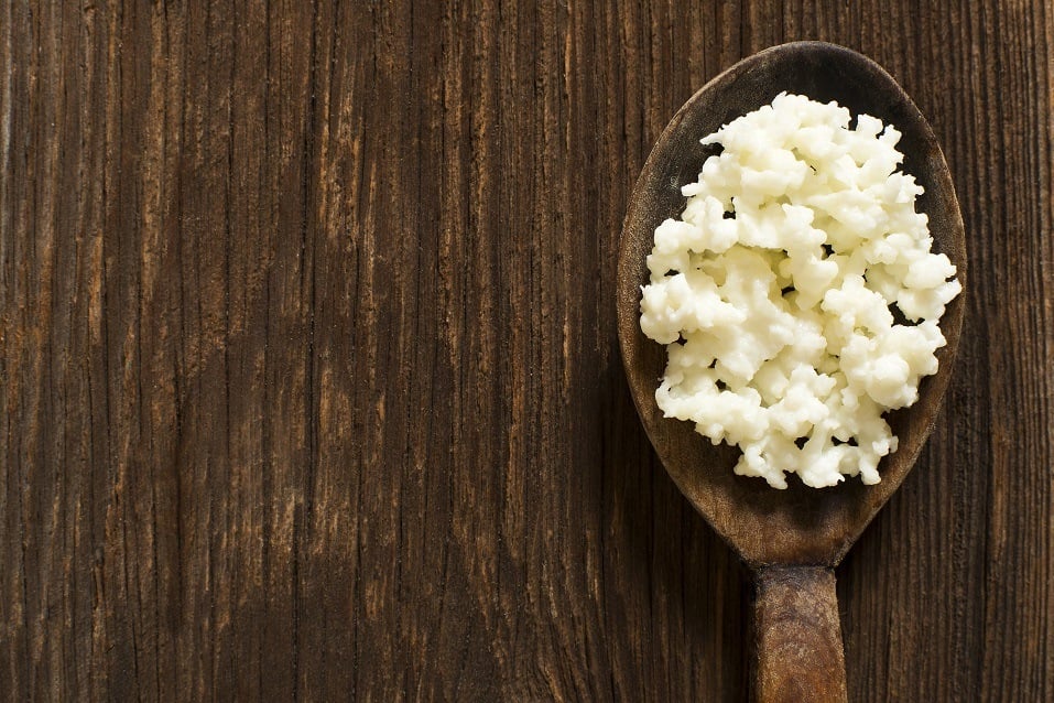 Kefir grains on a wooden spoon