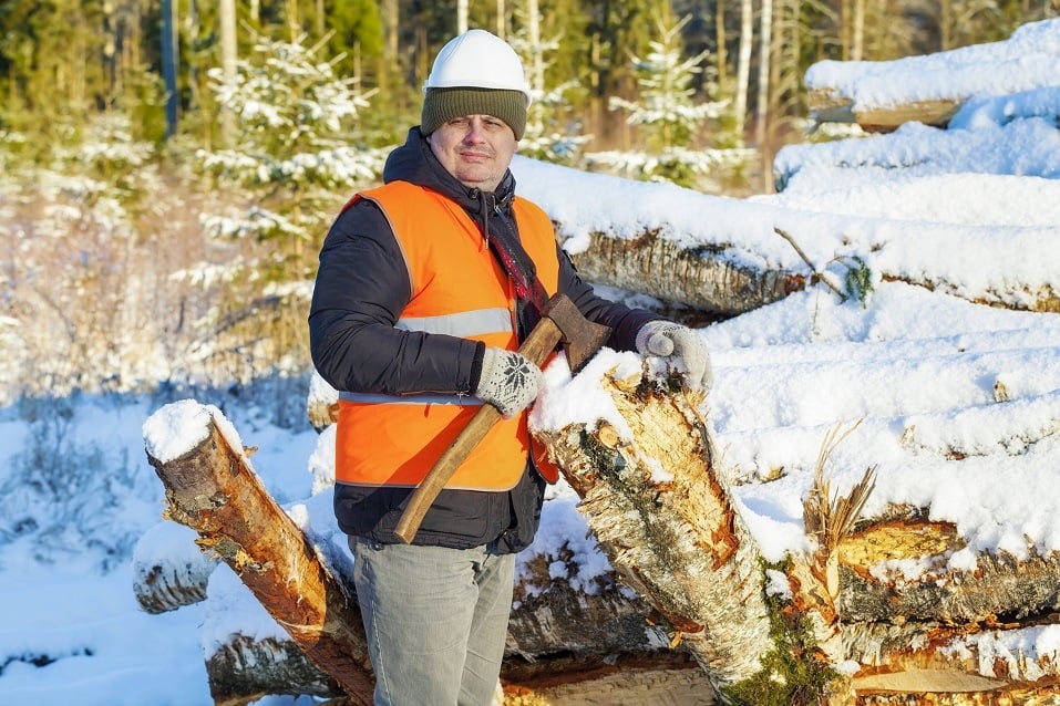 Lumberjack with ax