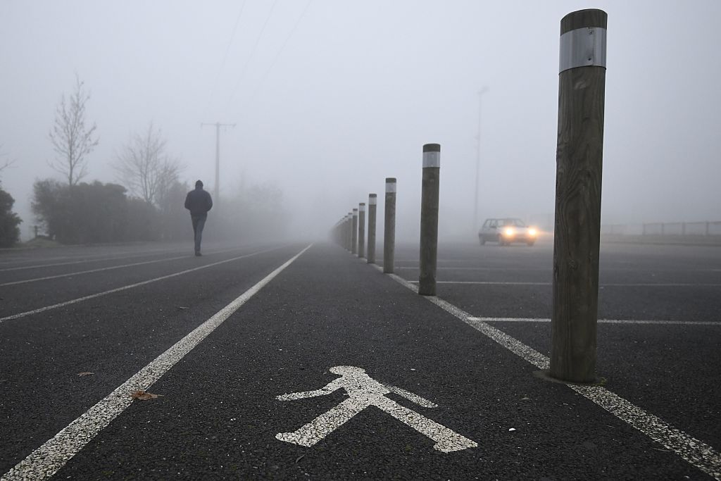 foggy walking path