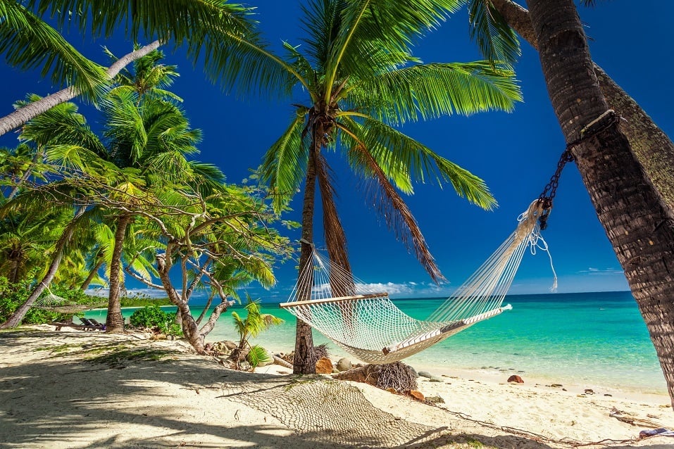 palm trees on tropical Fiji Islands