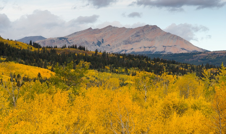 fall saturated color in Glacier National Park